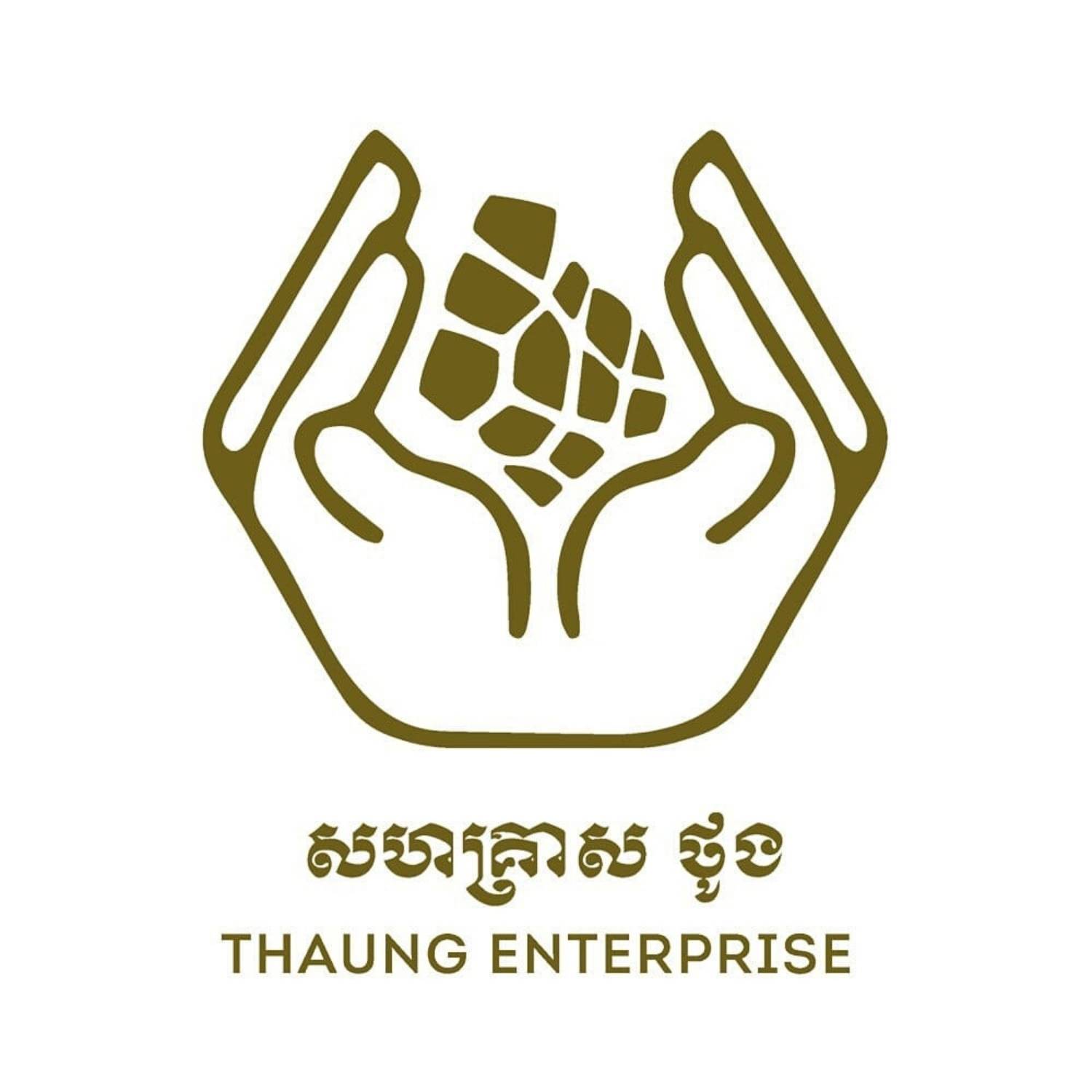 Thaung Enterprise