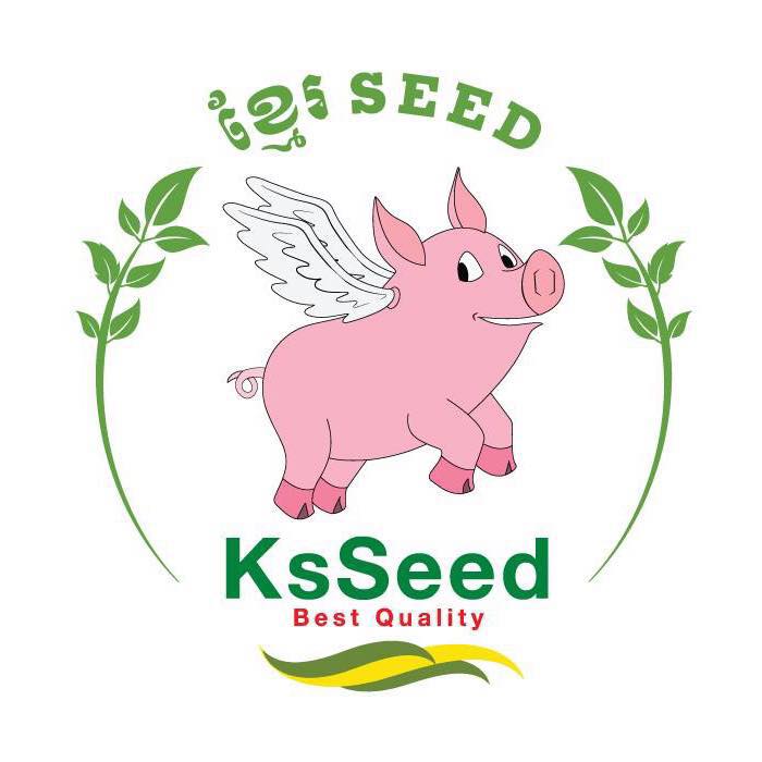 KsSEED Logo